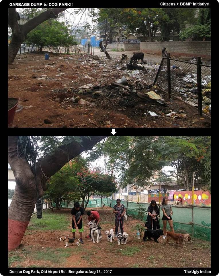 In a city where public spaces are shrinking by the day, the dog park in Domlur has already become popular.