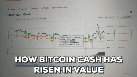 What is Bitcoin Cash and how is the new cryptocurrency performing in the market? 