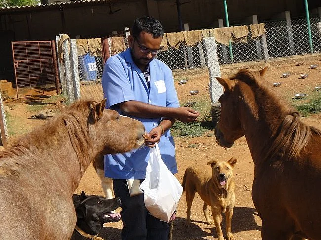Bengaluru Man Devoted Years to Save City’s Abandoned Horses