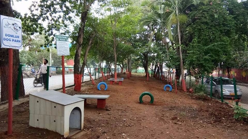 

 It is not just from the neighbourhood of Domlur, but visitors are coming to the park from across the city.&nbsp;