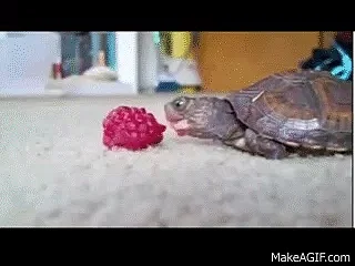 Slow down. Chew. Spend atleast 20 minutes on each meal.