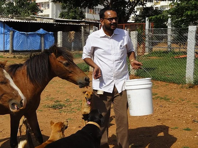 Bengaluru Man Devoted Years to Save City’s Abandoned Horses