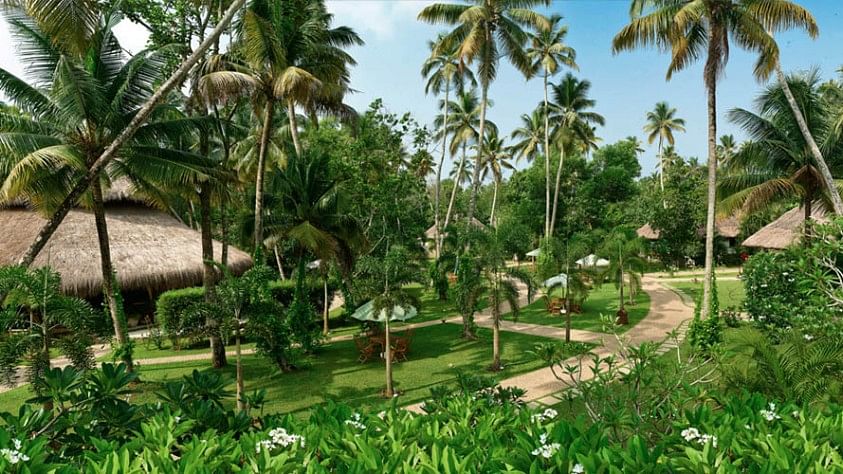 Not only pristine beaches and tapioca chips, God’s Own Country has some of the best Ayurveda retreats in India.