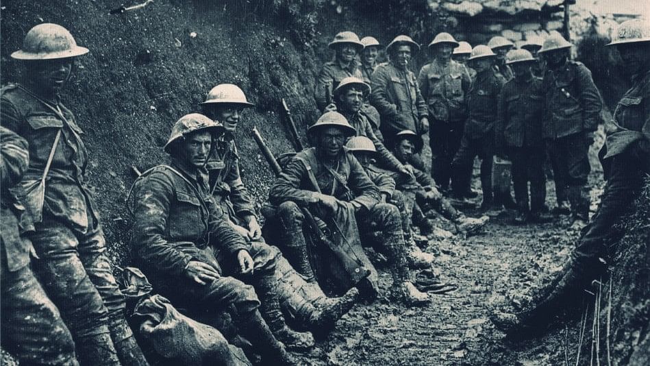 How World War 1 Created an Obsession With Insects