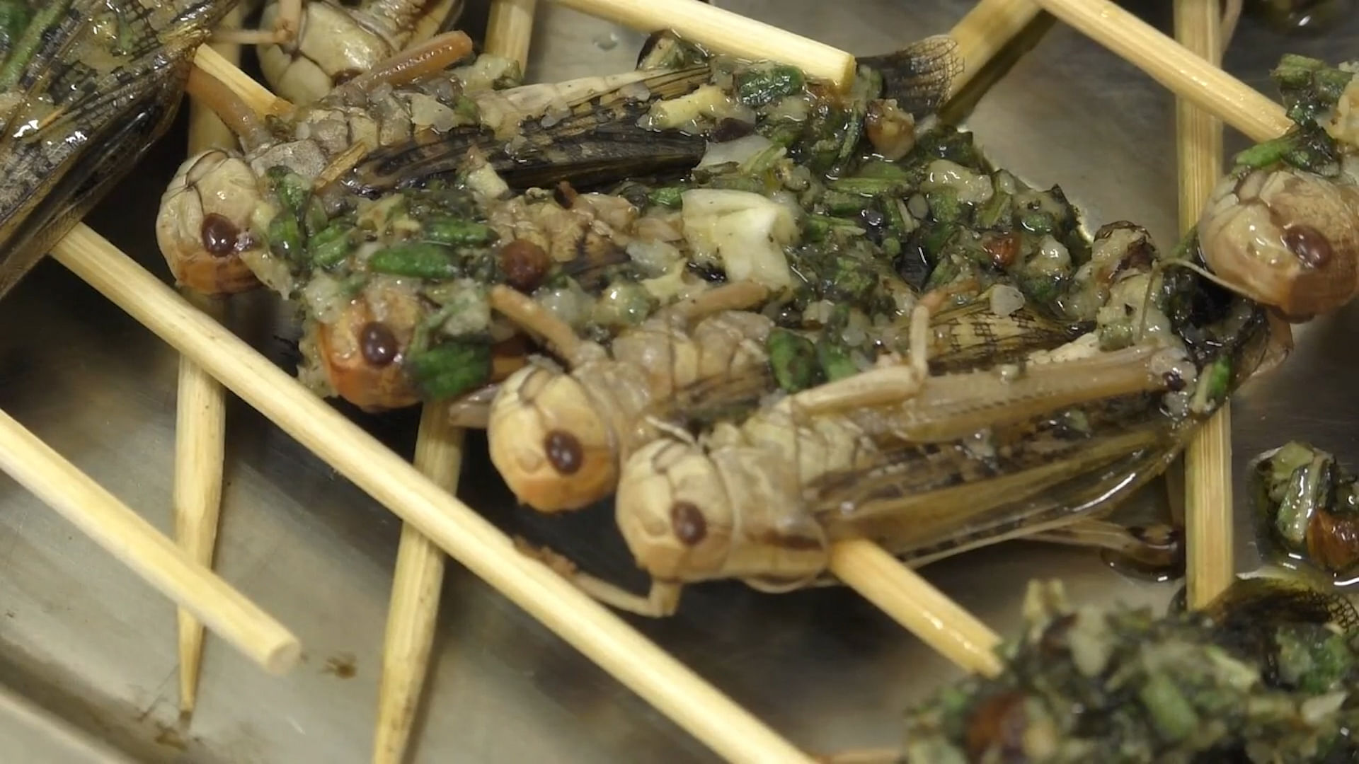 The restaurant serves a four-course meal... of insect dishes.&nbsp;