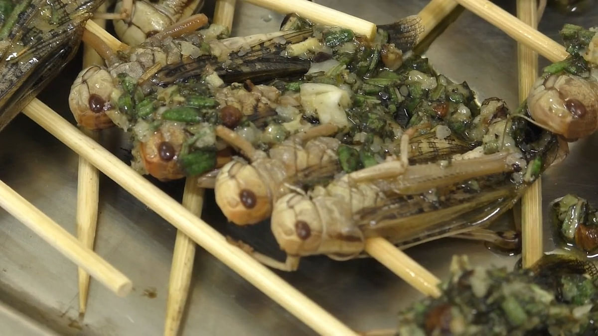 Watch: This Restaurant Serves Insects on a Platter