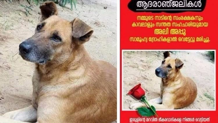 Why An Entire Kerala Village Is Mourning the Loss of One Dog 