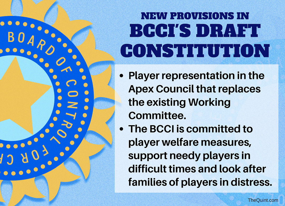 New additions in the BCCI Constitution that make the fan more powerful and the board more accountable.