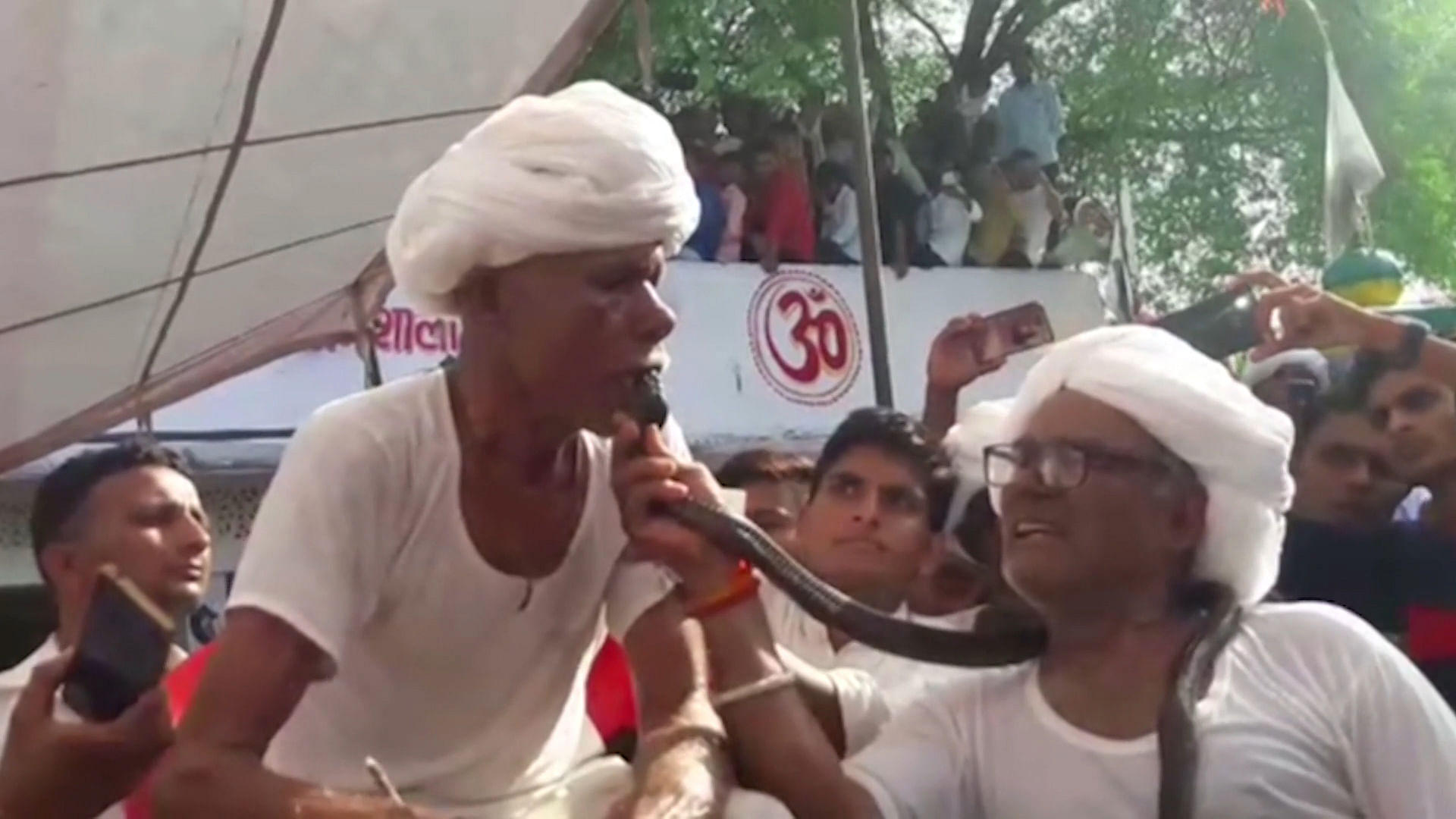 Cobra bites a devotee as part of ritual in a local festival