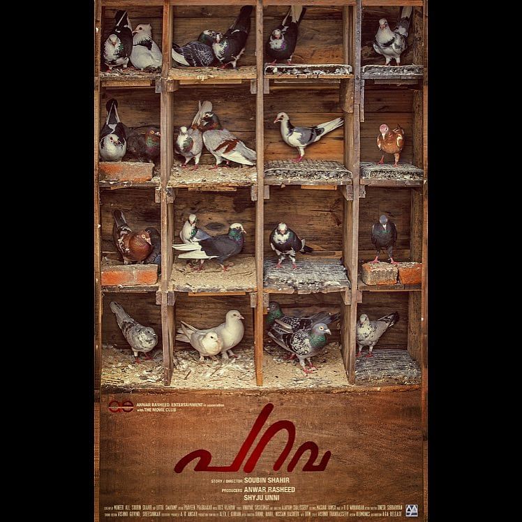 Parava movie review: The film directed by Soubin Shahir with Dulquer Salman in a cameo role is a good watch. 
