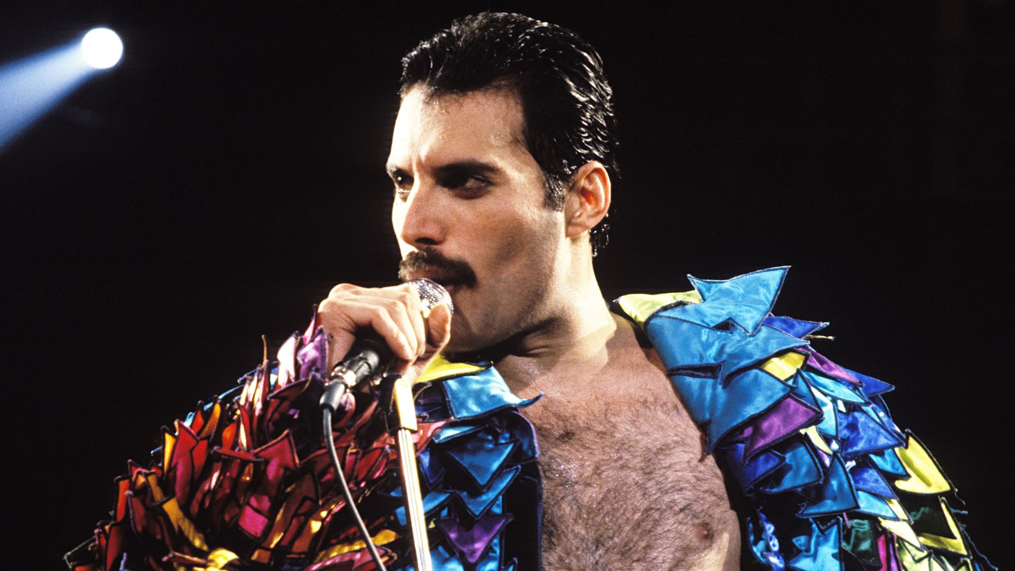 Queen lead singer Freddie Mercury. 