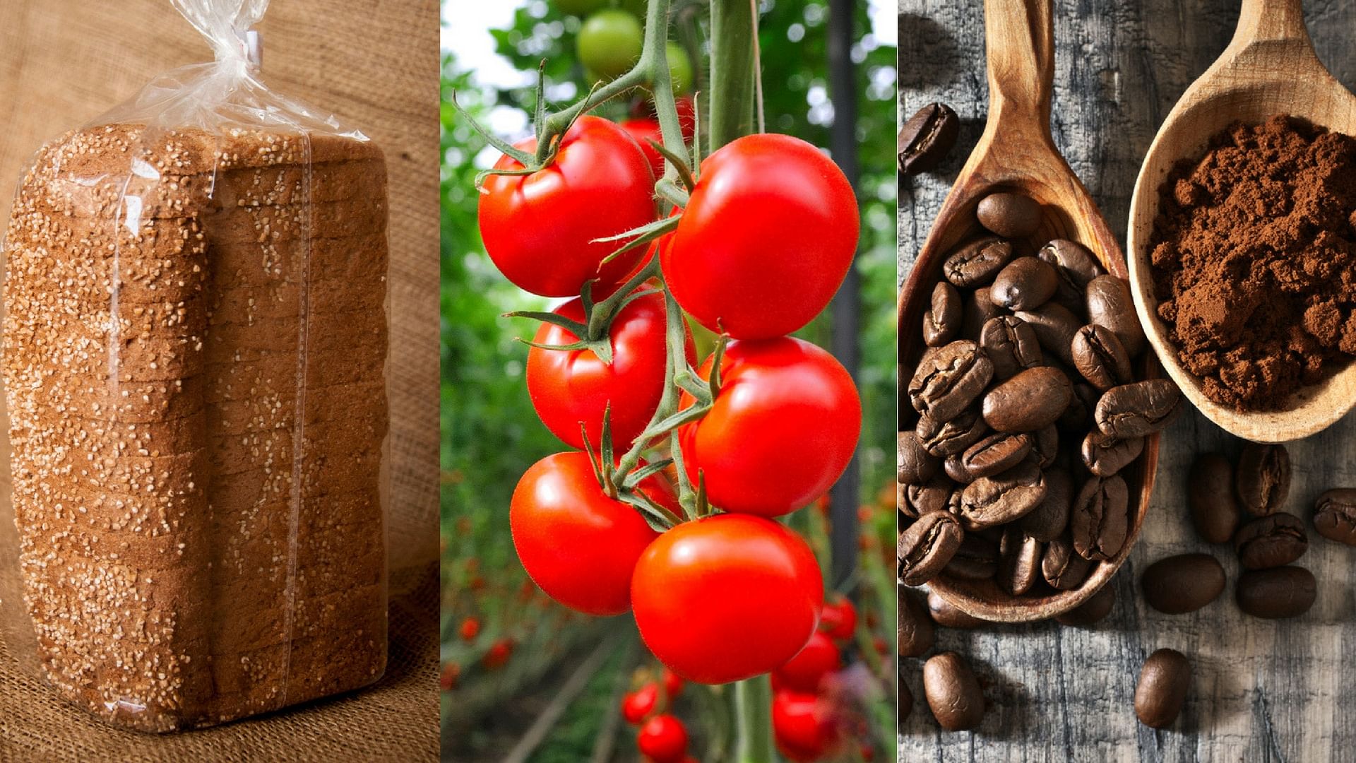

Bread (L), tomatoes (C) and coffee (R) are just some of the foods you should not refrigerate.&nbsp;