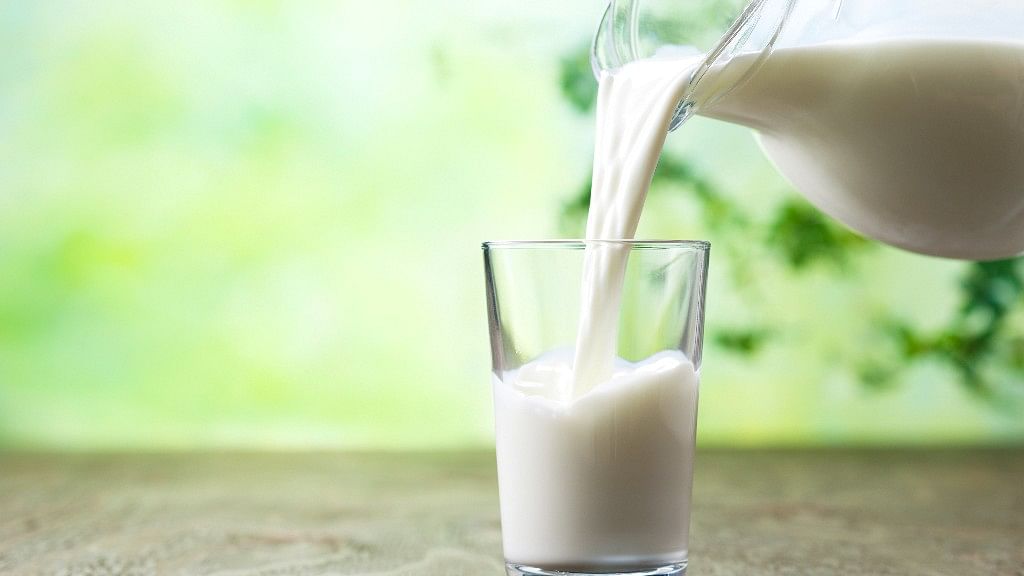 Which type of milk is considered to be the highest in protein? Take this week’s FitQuiz to find out.