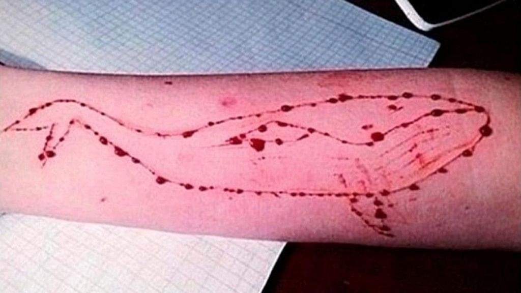 Has the ‘Blue Whale Challenge’ claimed another life?&nbsp;