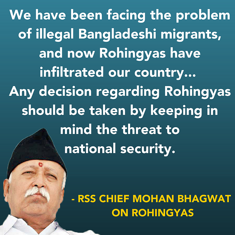 Cow Vigilantism is Beyond Religion, Says Mohan Bhagwat on Dussehra