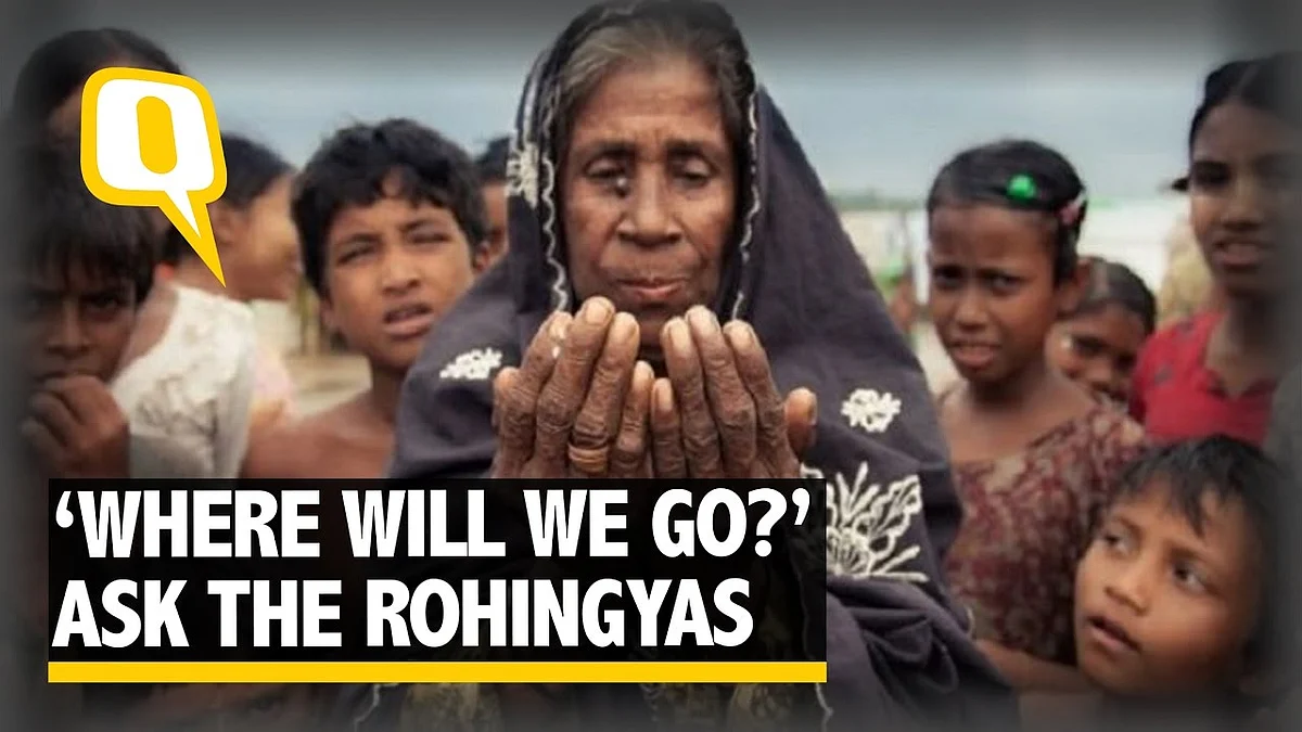 “Trust us, we aren’t here for terror,” plead Rohingya refugees.