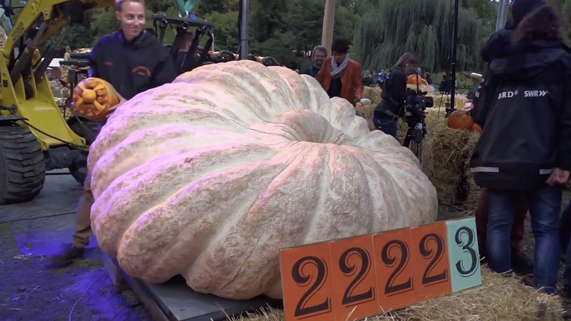 

Belgian farmer Mathias Willemijns’  winning pumpkin.