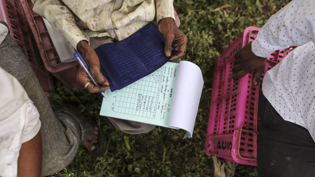 A worker records the weight of bananas during a harvest in a field in Jalgaon, Maharashtra.