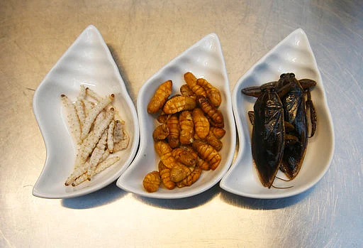 From left to right – bamboo worms, silkworms and giant water beetles are some of the ingredients used at Insects in the Backyard restaurant, in Bangkok, Thailand.