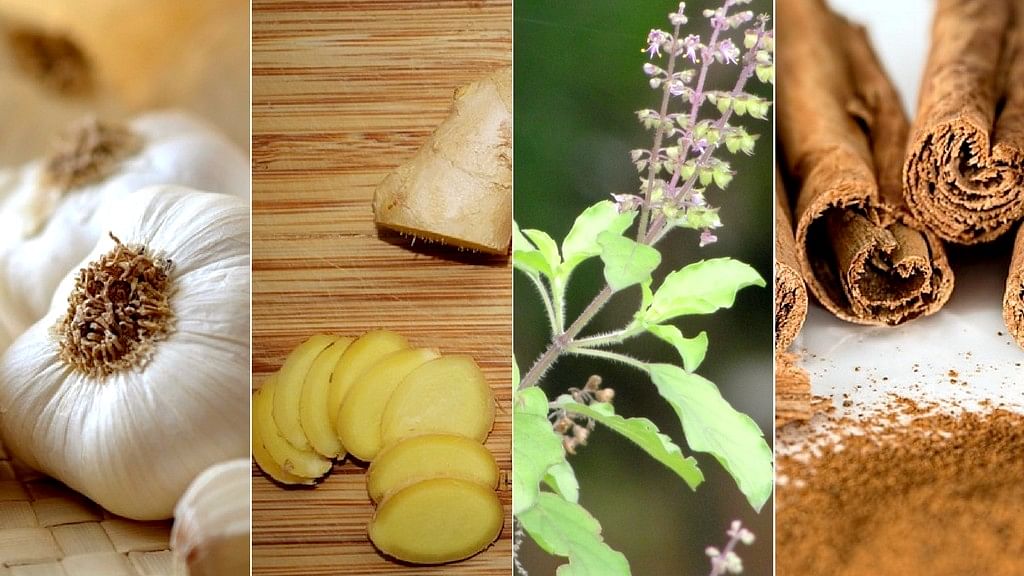 Seven Magical Herbs To Boost Your Immunity This Winter