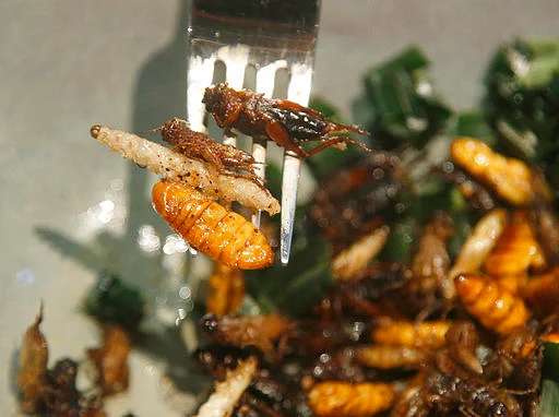A bamboo worm, silkworm and fried crickets are displayed on a fork before being eaten at Insects in the Backyard restaurant, in Bangkok, Thailand.