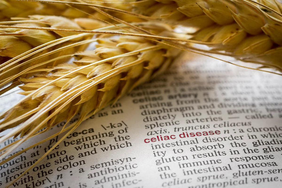 Gluten-Free Diet: A Healthy Option, a Necessity or Just a Fad?