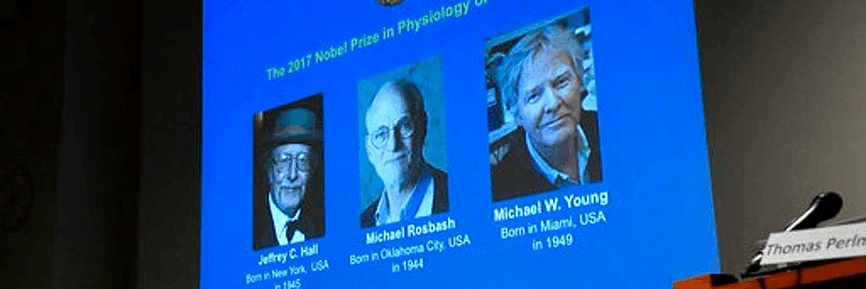 Nobel Laureates of Physiology or Medicine. (Photo: AP)
