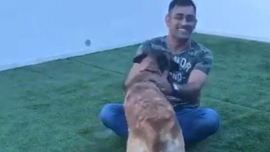 Watch: Dhoni Playing With His Dog is The Cutest Thing Ever