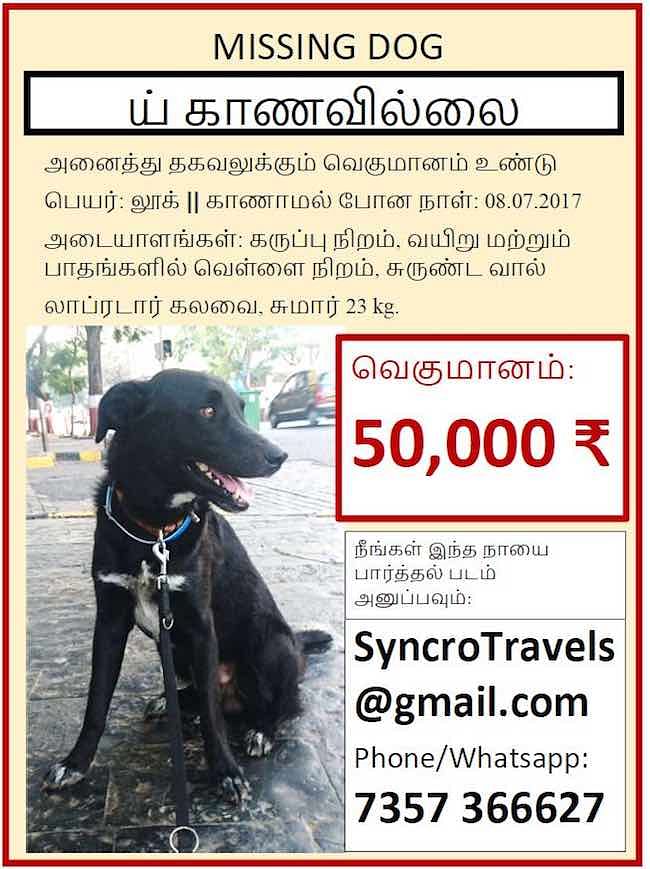On 21 October, Vijaya Narayanan, an animal welfare worker based out of Chennai, received a phone call from a man...