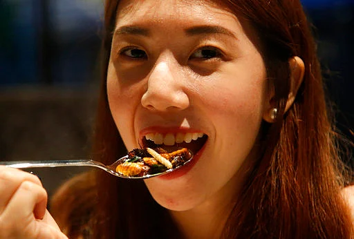 Kelvarin Chotvichit eats fried bamboo worms, silkworms and cricket at Insects in the Backyard restaurant in Bangkok, Thailand.