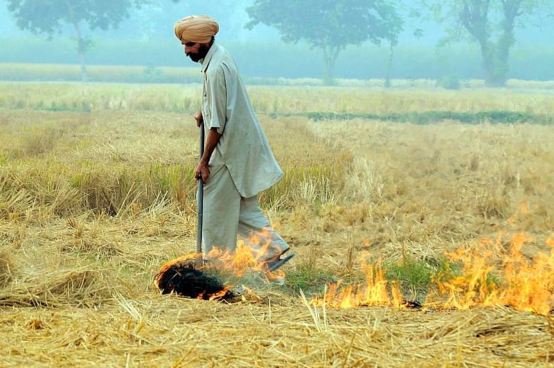 What is stubble burning, and can the problem ever be resolved? We answer some basic questions.