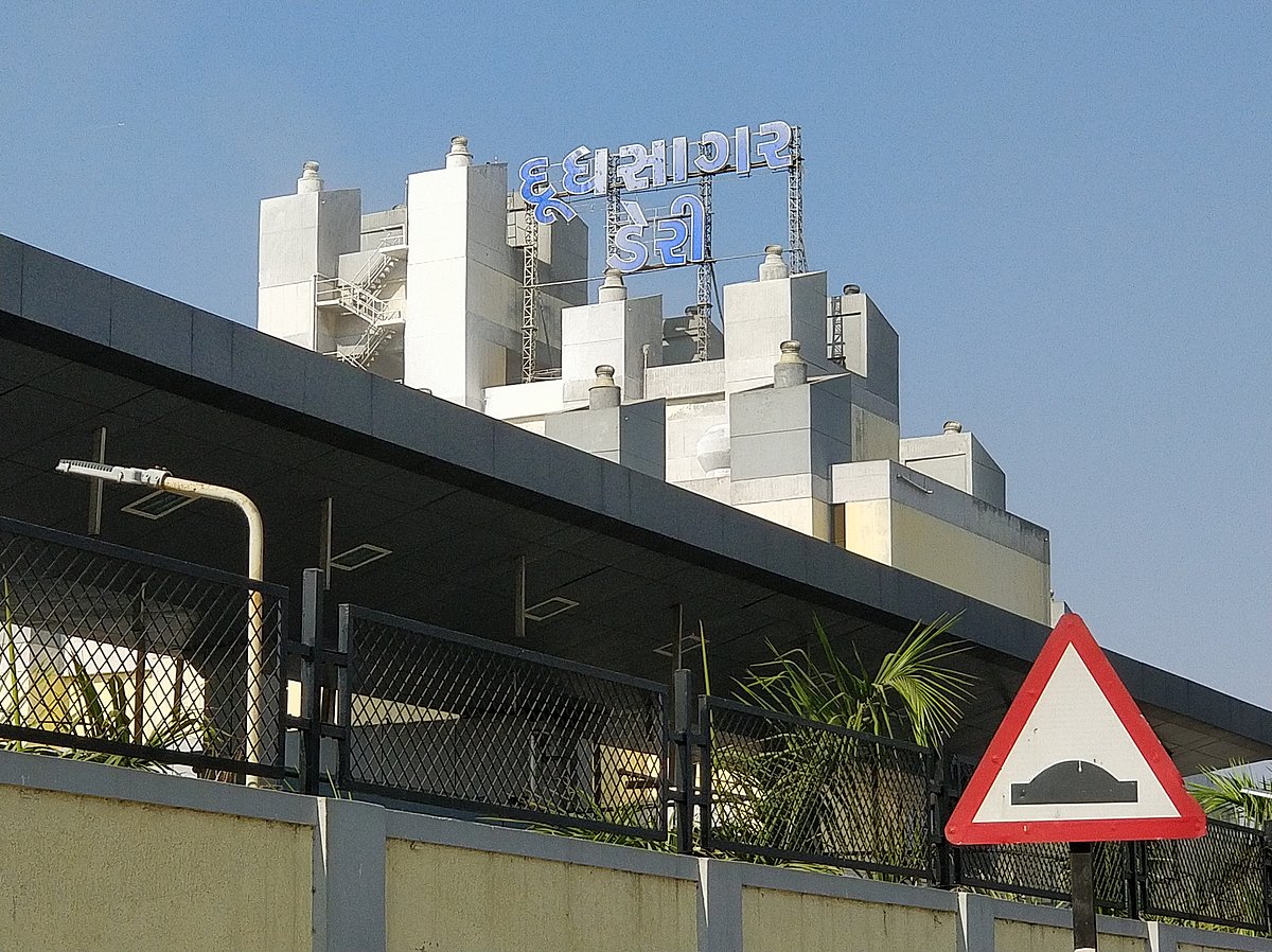 Mehsana to Dahod Patidars Stir Their Milk & Politics Differently