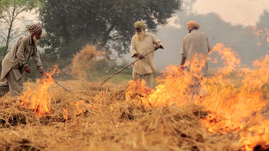 Burning of rice crop residue in Punjab.