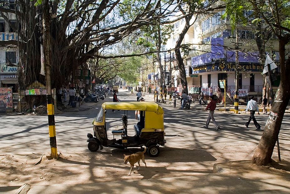 When Cities Were Nature’s Havens: A Brief History of Bangalore