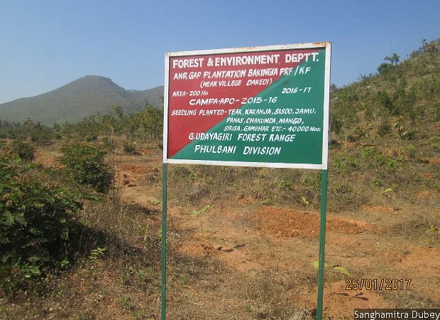 “The fund is a stratagem for  the state forest departments  to obstruct the Forest Rights Act,” say legal experts.