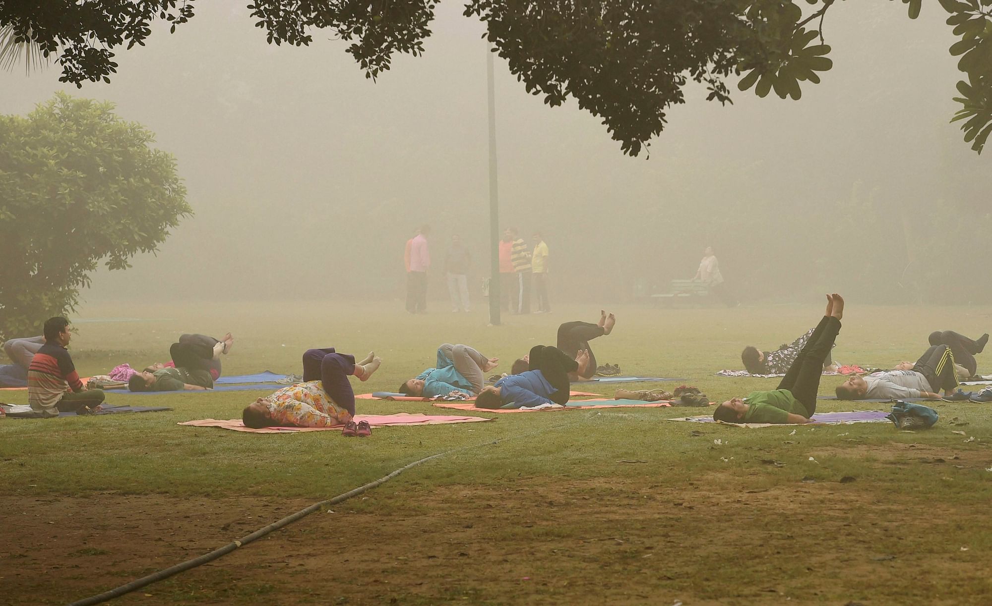 People practice yoga at Lodhi Gardens in New Delhi. Image used for representational purpose.