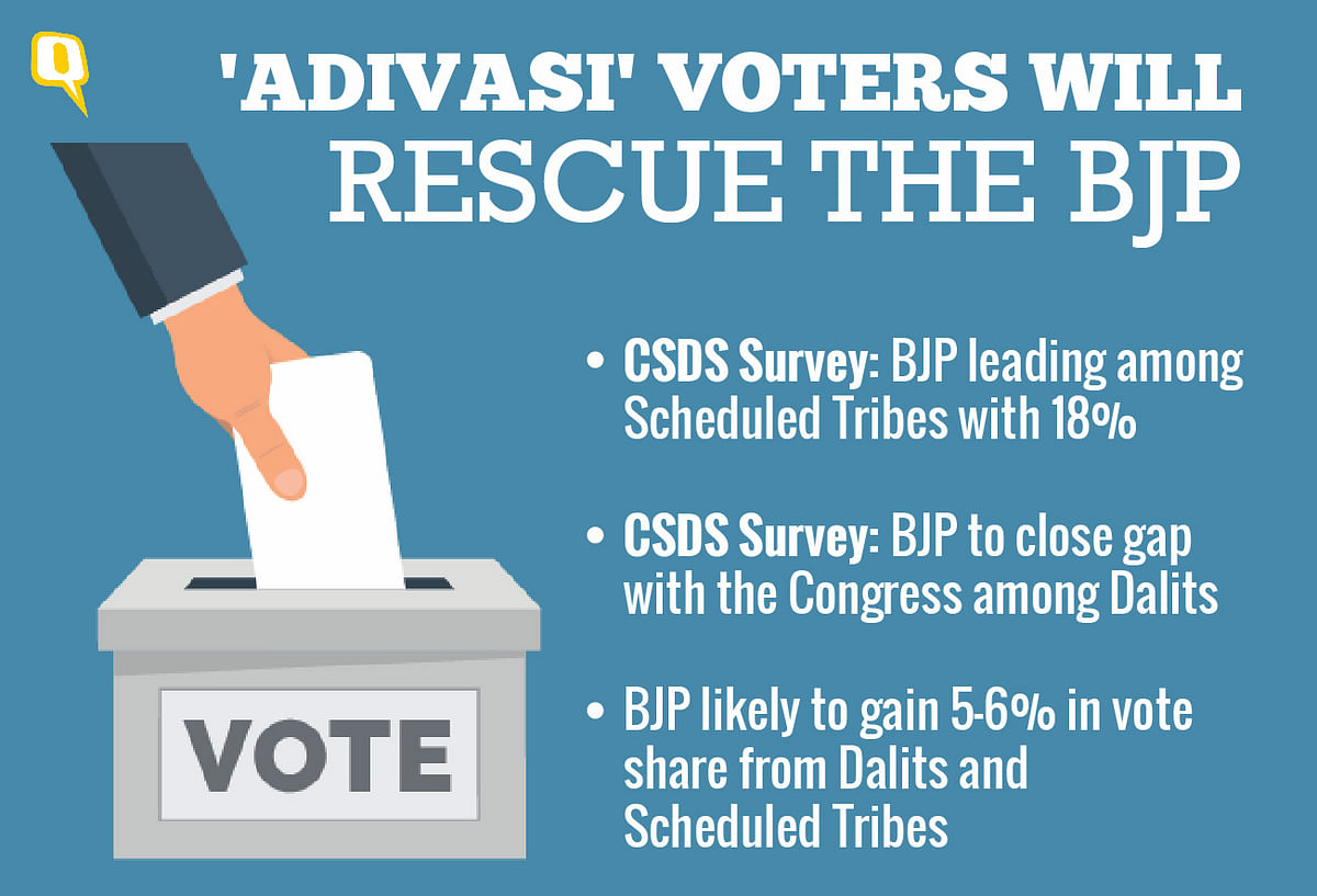 As BJP heads towards a tough  battle on its home turf in Gujarat, Adivasi and Dalit vote bank might rescue the party