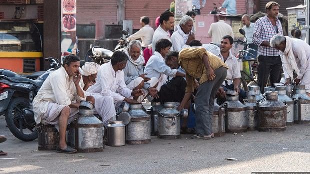 Small dairy farmers at a milk market in Jaipur.