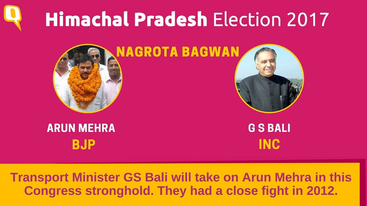 Here’s a look at the big guns doing battle in the Himachal Pradesh elections this year. 