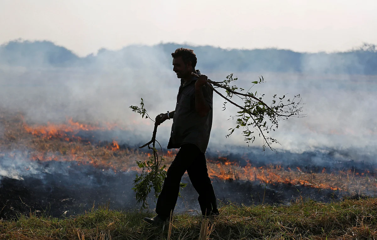 A farmer burns his the stubble left behind after harvesting crops.