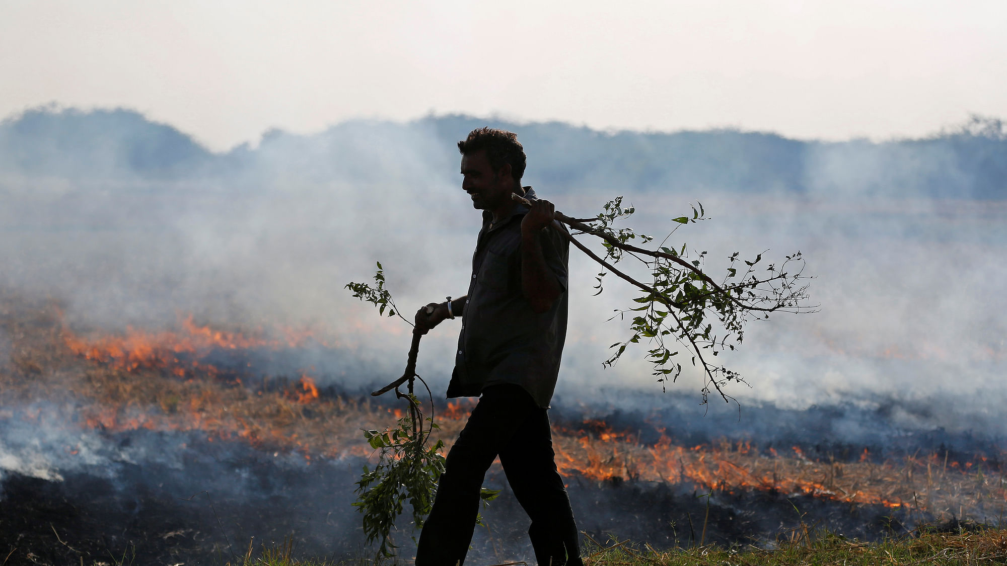 A farmer burns his the stubble left behind after harvesting crops.