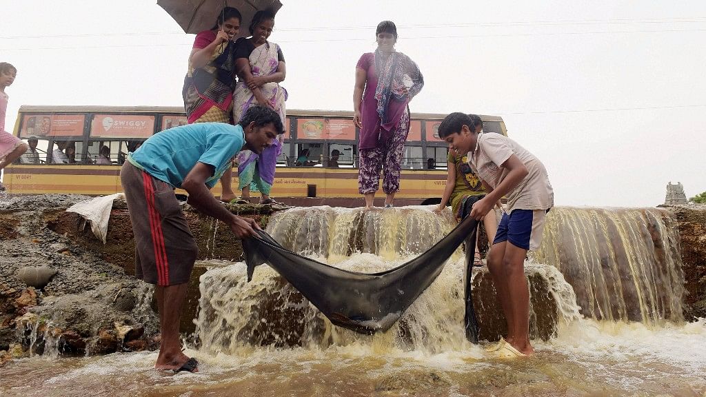People trying to catch fish after a compound wall collapsed in neighbouring Redhills following heavy rainfall in Chennai on 2 November.