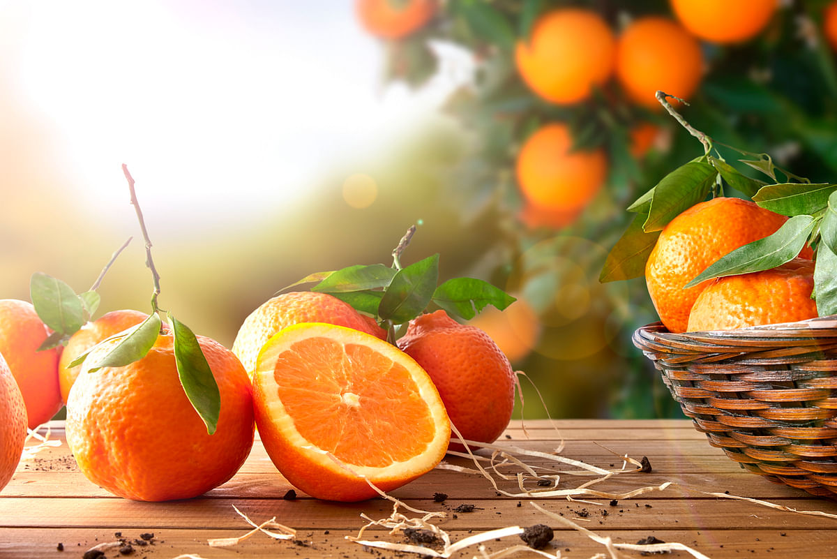 Vitamin C is a rich source of antioxidants.&nbsp;