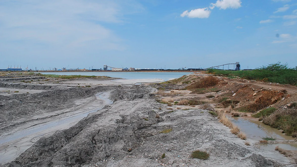 From 214 acres in 1972, it has now been reduced to 36 acres. Image used for representational purposes. 
