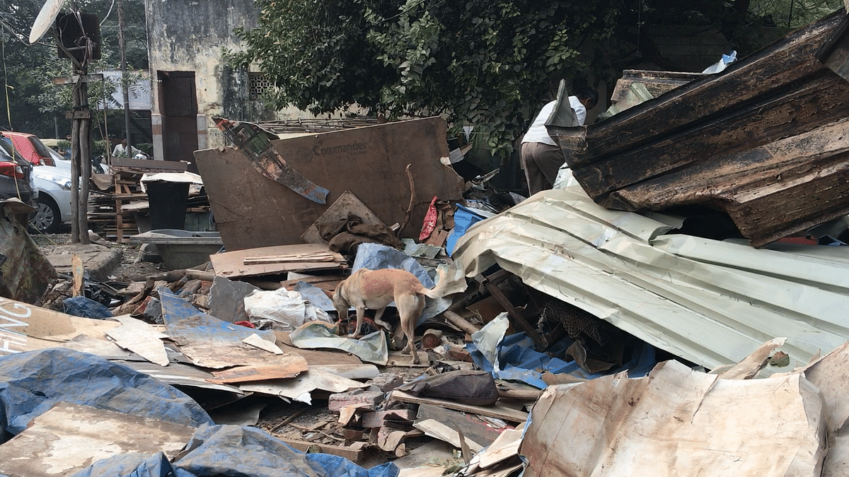 “Kutton wali Amma’s” dog shelter demolished in Delhi’s Saket area
