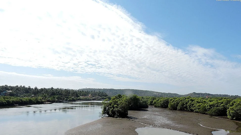 <p>Mahadayi river. </p>