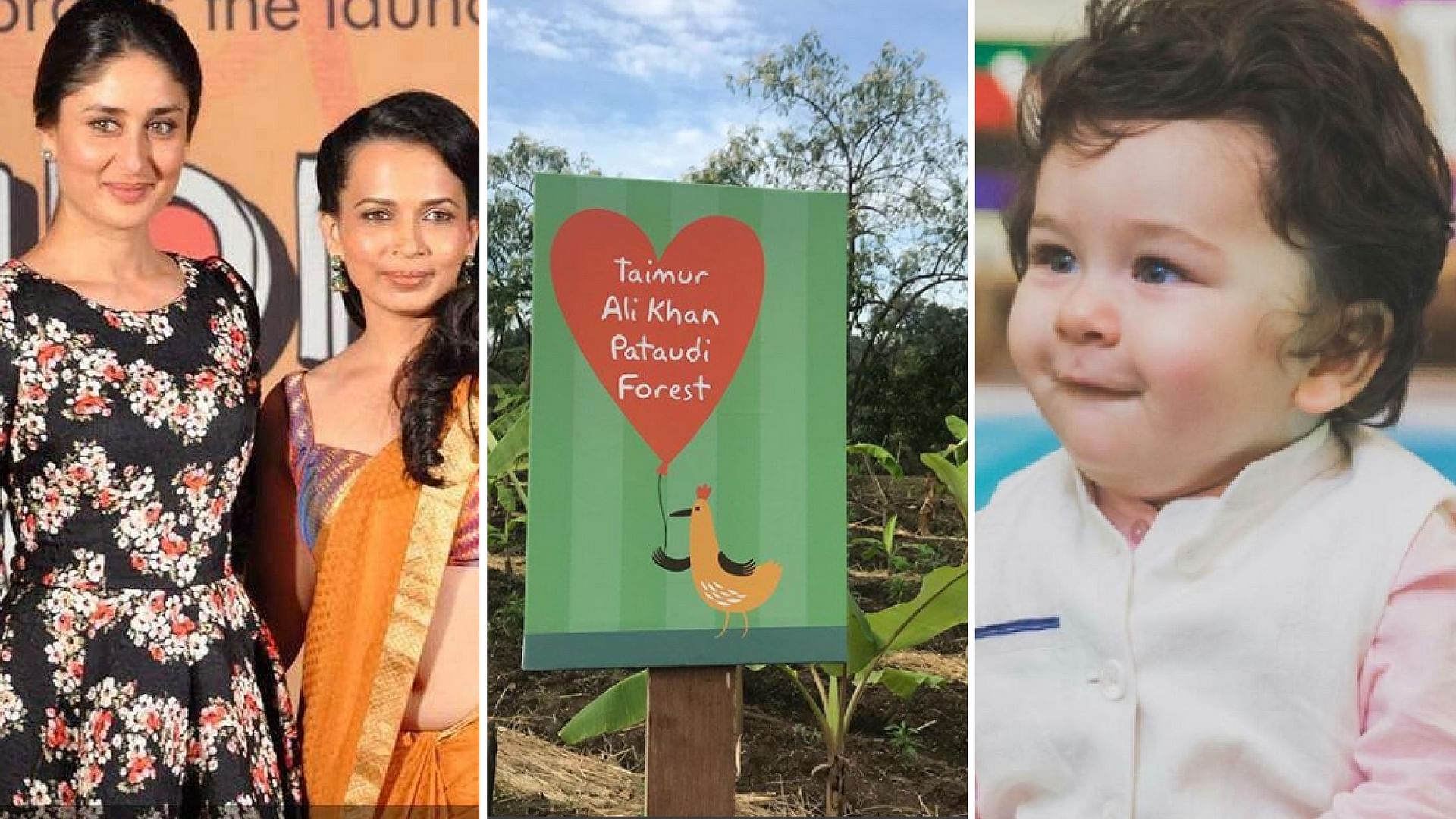 Kareena and her nutritionist gift baby Nawab a forest.