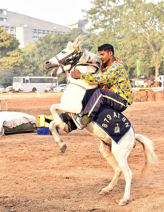 Deputy Commissioner of Police G Saravanan said that in the 218-year history of the force, for the first time 21 horses were inducted into service at one go. Representative image only.