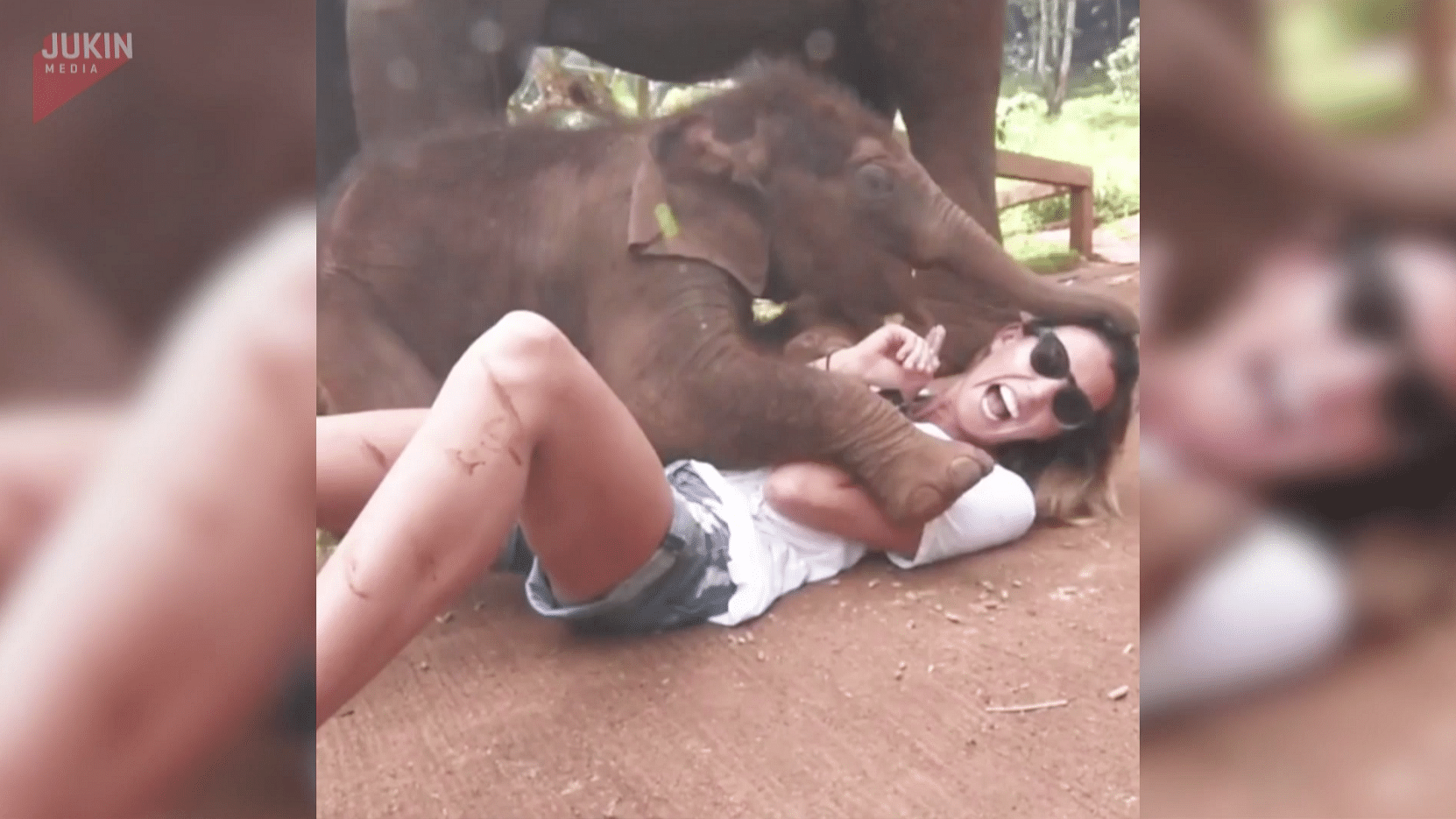 Baby elephant trying  to cuddle the woman in Thailand