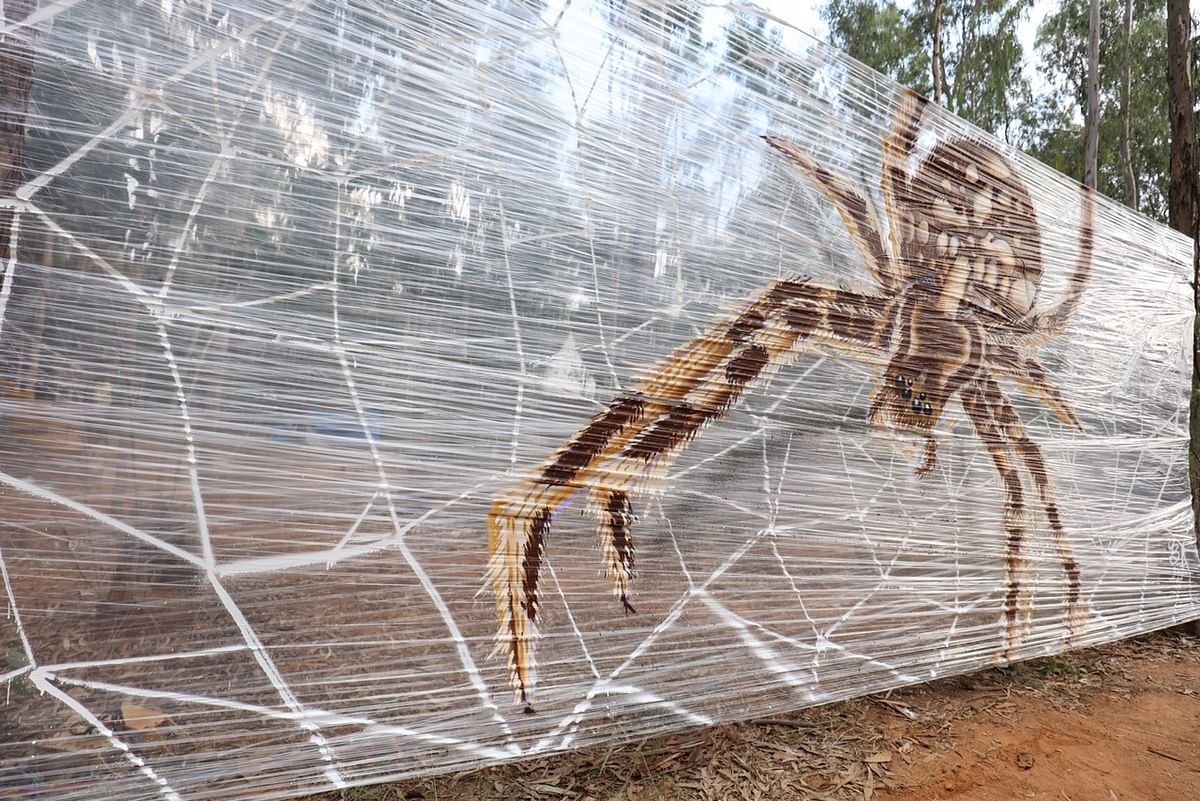 From a massive 3D dragonfly to a giant owl, Bengaluru’s first eco-friendly music festival really went all out!